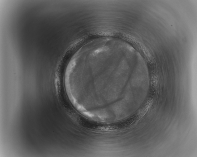 X0000102540688200809051533
