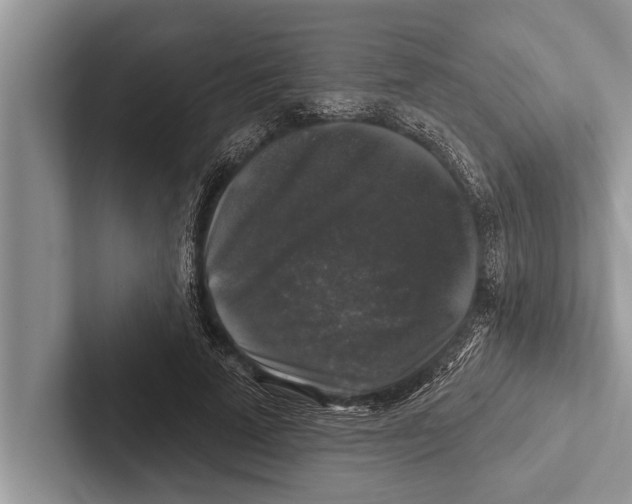 X0000102540689200809051533