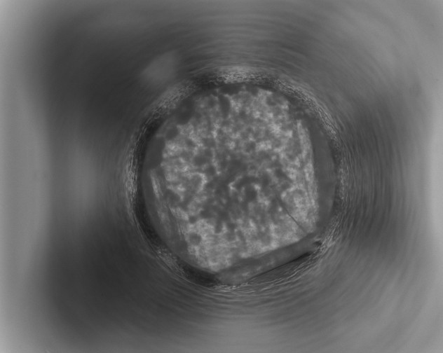 X0000102540691200809051533