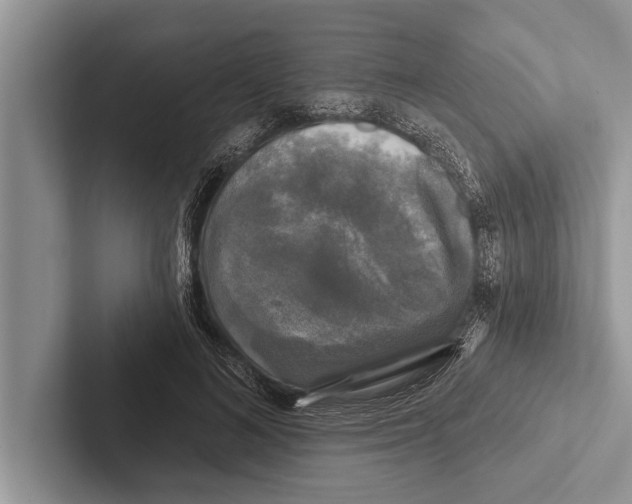 X0000102540692200809051533
