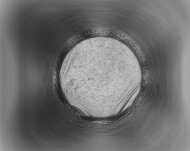 X0000102540693200809051533