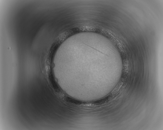 X0000102540695200809051533