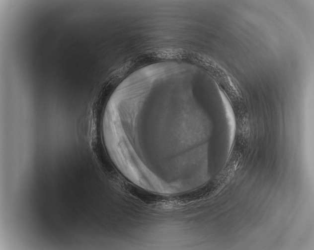 X0000102540696200809051533