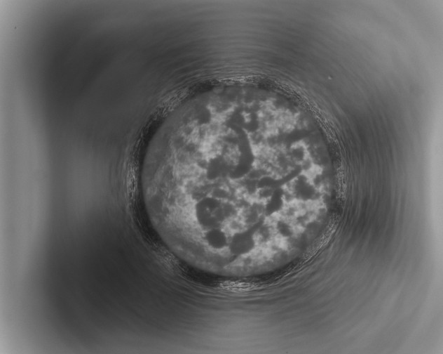 X0000102540699200809051533