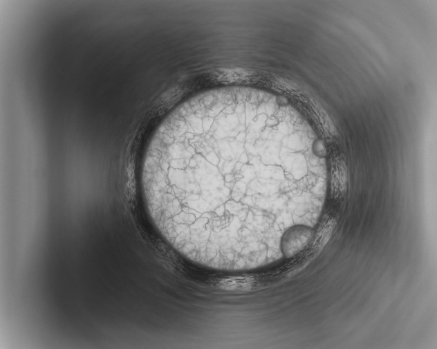 X0000102540700200809051533