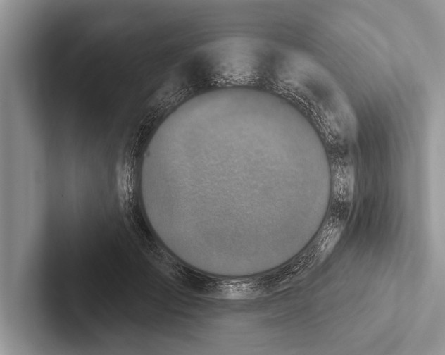 X0000102540701200809051533