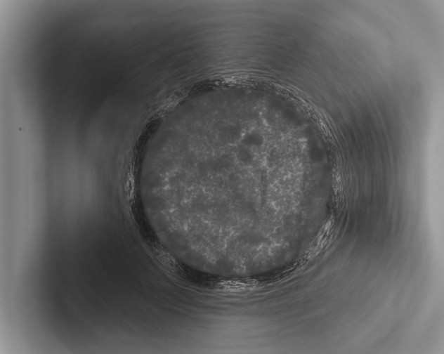 X0000102540703200809051533