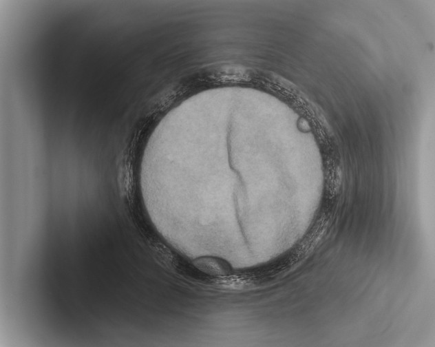 X0000102540704200809051533