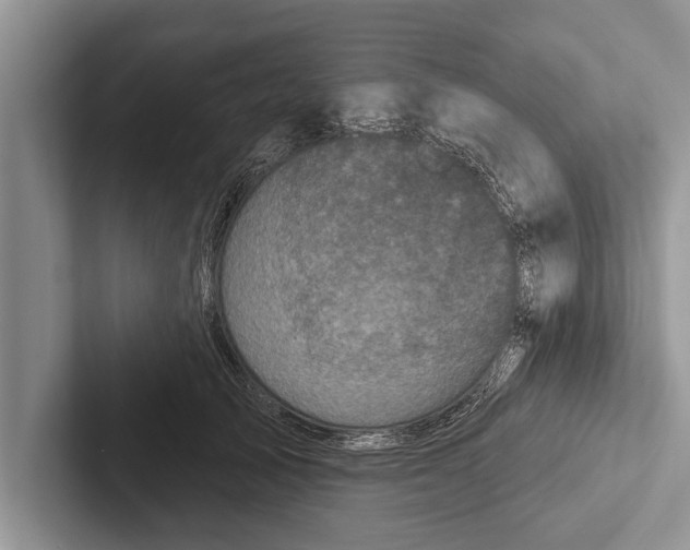 X0000102540705200809051533
