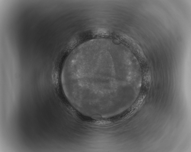 X0000102540708200809051533