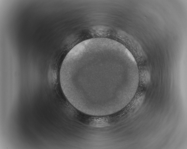X0000102540709200809051533
