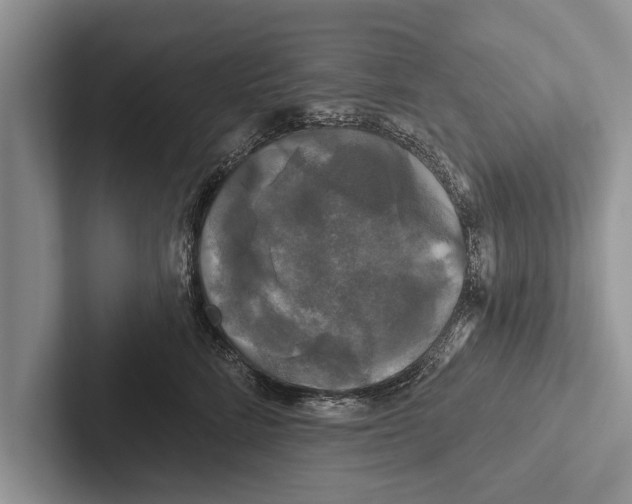 X0000102540712200809051533