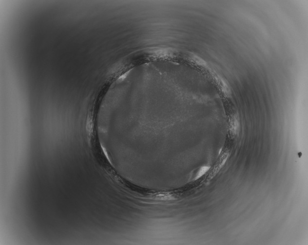 X0000102540715200809051533