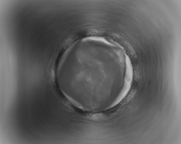 X0000102540716200809051533
