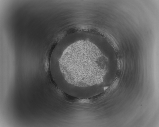 X0000102540718200809051533
