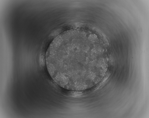 X0000102540719200809051533
