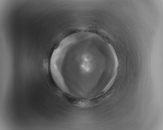 X0000102540720200809051533