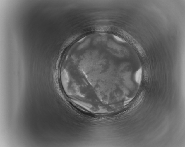 X0000102540721200809051532
