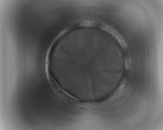 X0000102540724200809051532