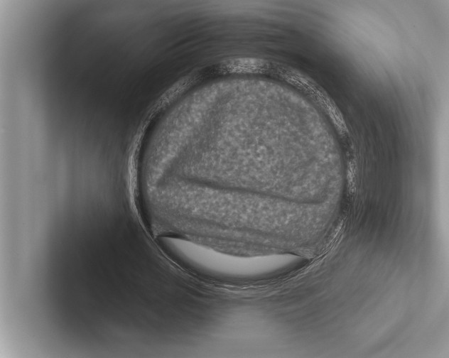 X0000102540725200809051532