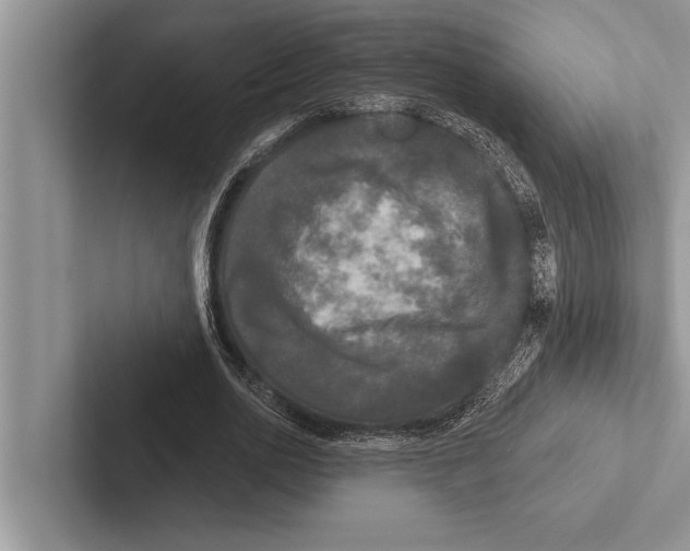 X0000102540726200809051532
