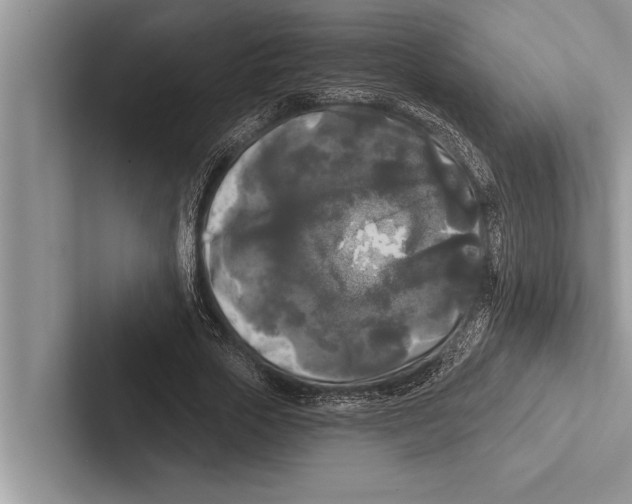 X0000102540729200809051532