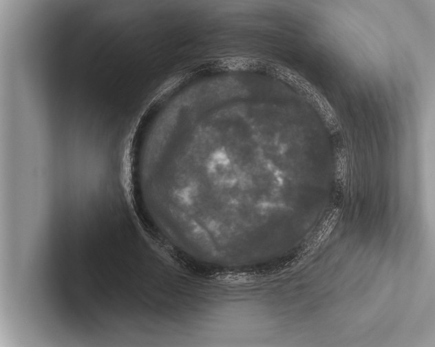 X0000102540730200809051532