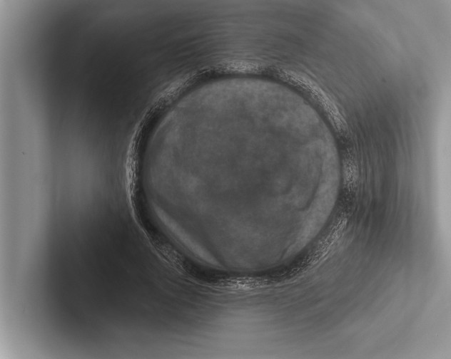 X0000102540736200809051532