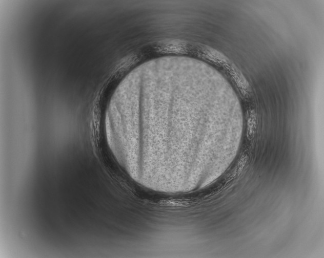 X0000102540739200809051532