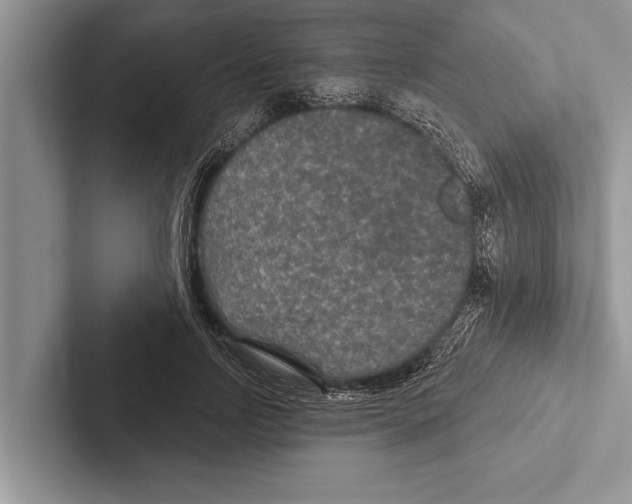 X0000102540742200809051532