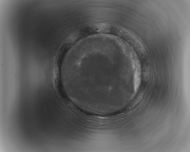 X0000102540748200809051532