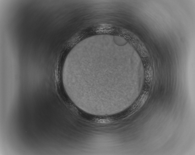 X0000102540755200809051532