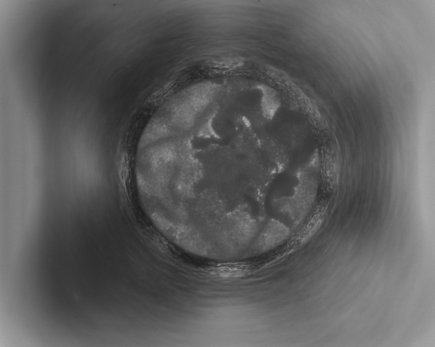 X0000102540758200809051532