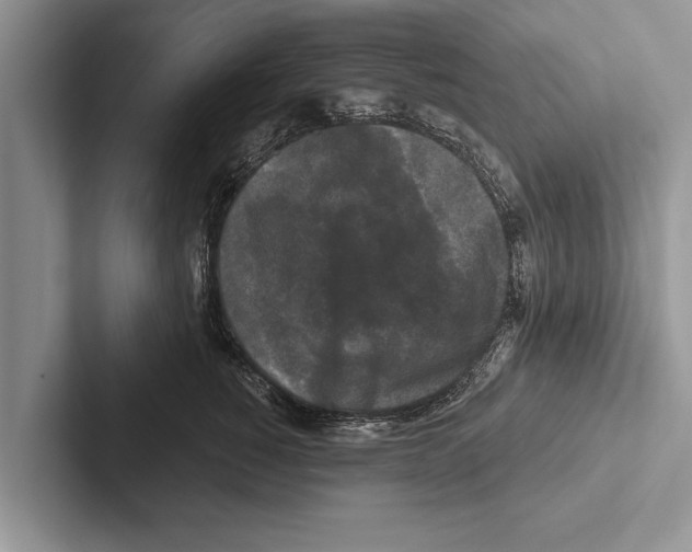 X0000102540760200809051532