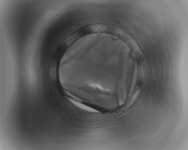 X0000102540762200809051532