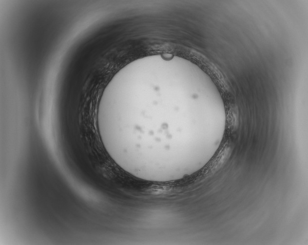 X0000102540764200809051533