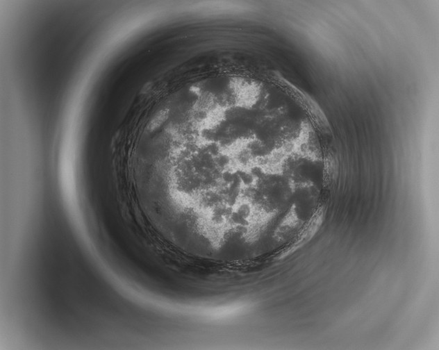 X0000102540765200809051533