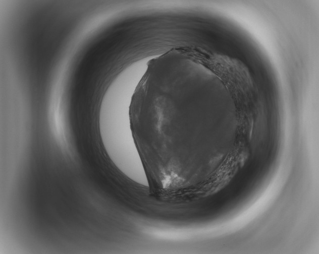 X0000102540766200809051533