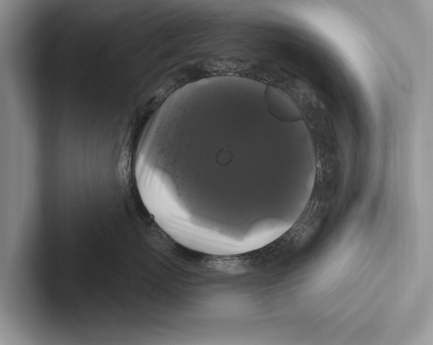 X0000102540767200809051533