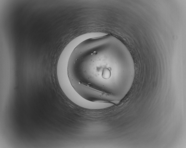 X0000102540768200809051533