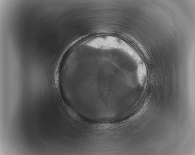 X0000102540779200809051532