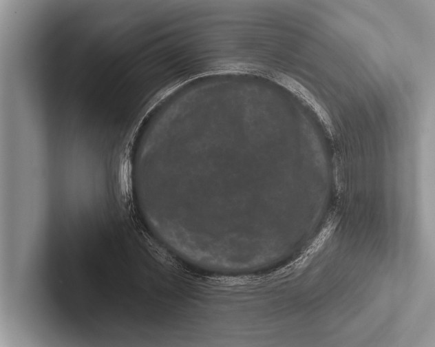 X0000102540781200809051532