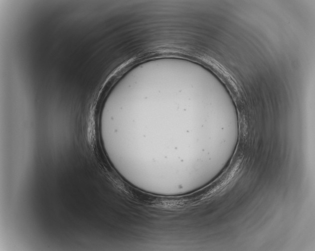 X0000102540782200809051532