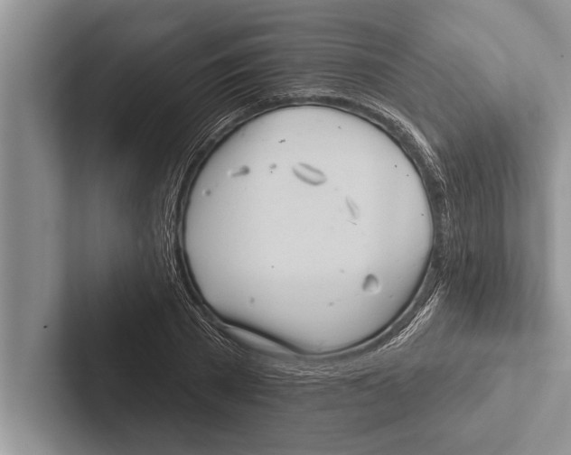 X0000102540785200809051532