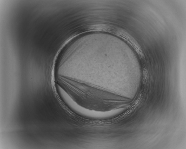 X0000102540788200809051532
