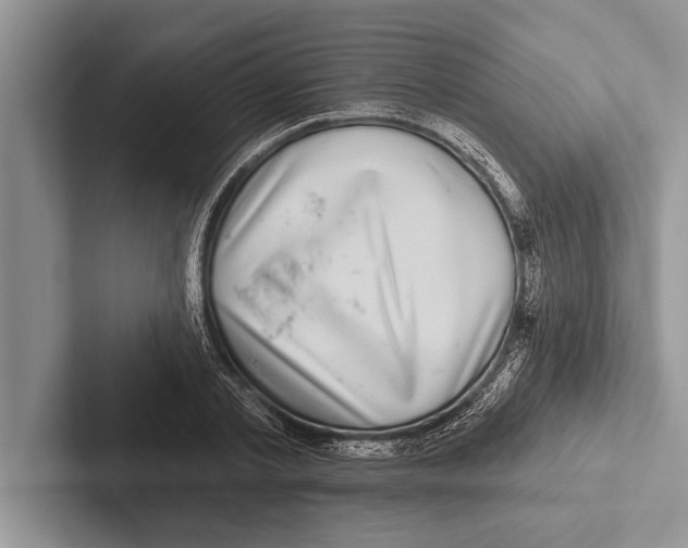 X0000102540789200809051532
