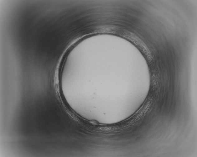 X0000102540792200809051532