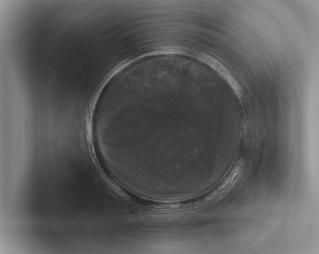 X0000102540797200809051532