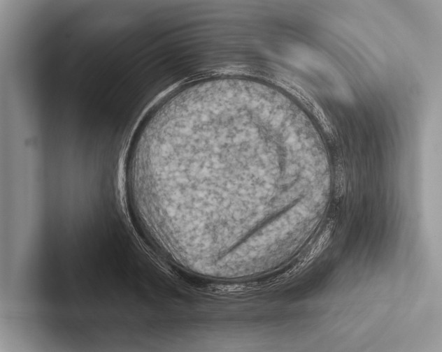 X0000102540798200809051532