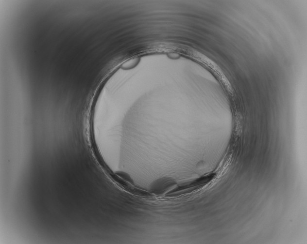 X0000102540802200809051531